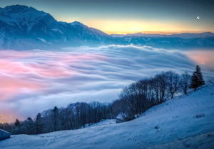 2026年二手悦刻全系列选购指南，一代到五代图片、价格深度解析与避坑攻略